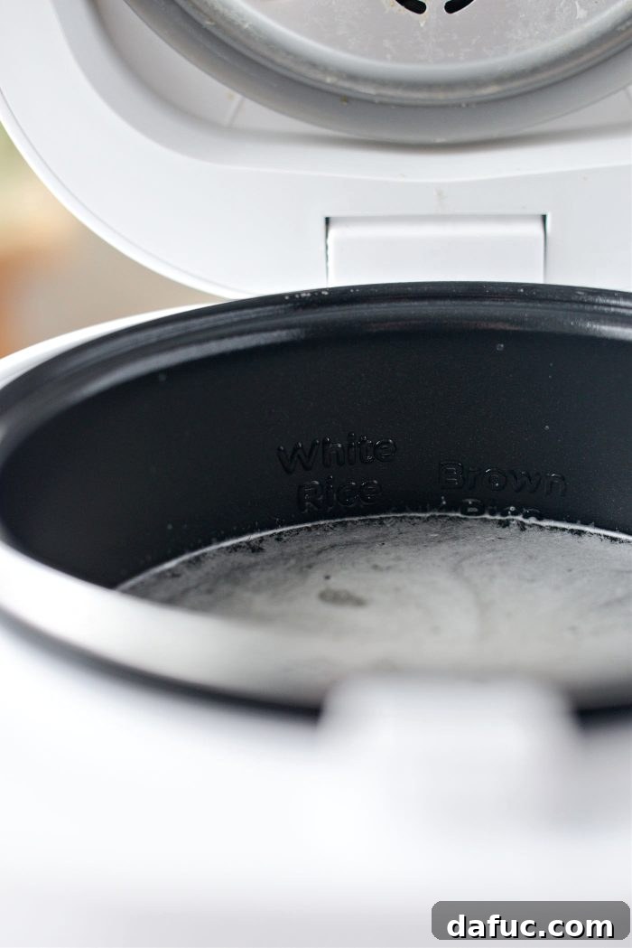 Water filled to the correct waterline in a rice cooker pot with rice and salt