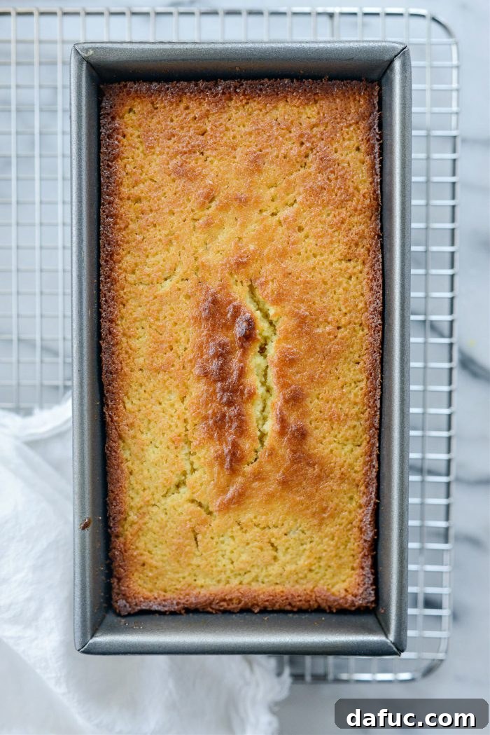 Sunshine Berry Bliss 18 just baked Lemon Blueberry Cake
