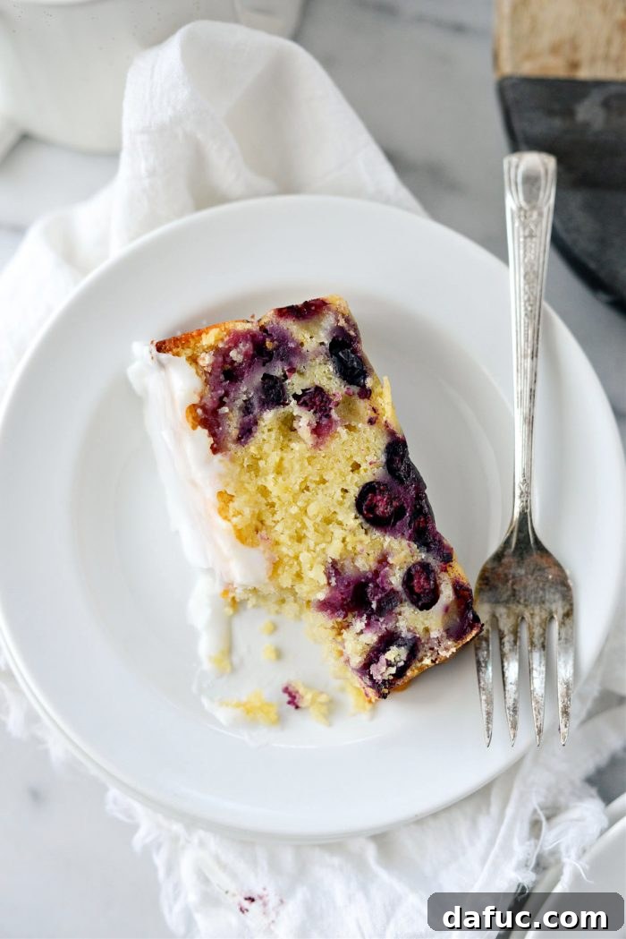 Sunshine Berry Bliss 28 Lemon Blueberry Cake