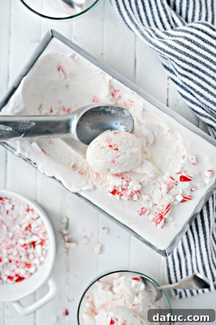 Homemade Peppermint Candy Cane Ice Cream, a festive holiday dessert