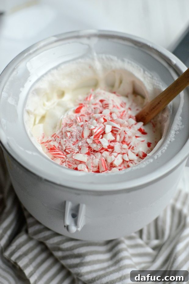 Freshly churned peppermint ice cream