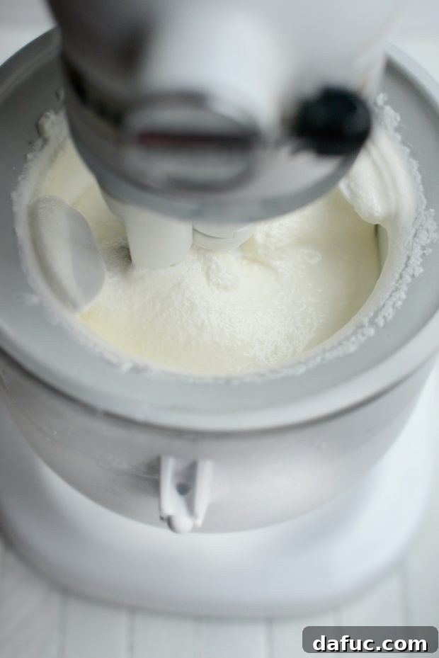 Churning peppermint candy cane ice cream in an ice cream maker
