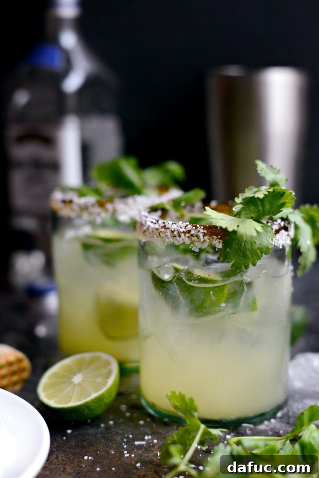 Zesty Cilantro Lime Margaritas 12 Finished Cilantro Lime Margarita garnished with lime and cilantro