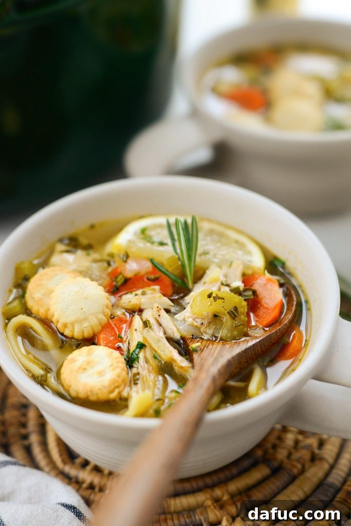 Bright Lemon Rosemary Chicken Noodle Soup 17 Overhead view of Lemon Rosemary Chicken Noodle Soup in a bowl