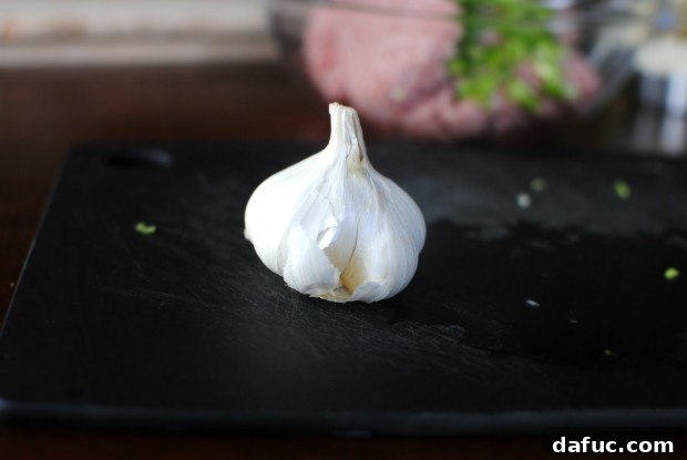 don't forget the garlic! Don't forget the fresh garlic when making turkey burgers!