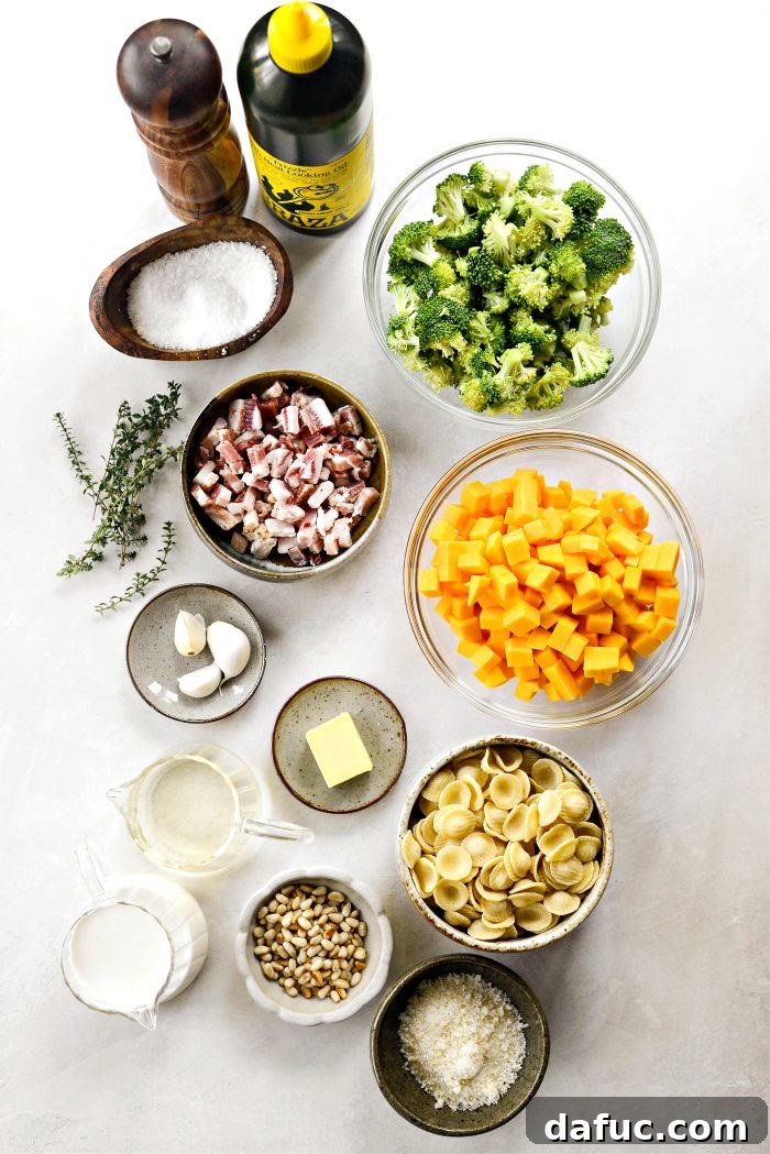 Autumn Orecchiette with Pancetta, Butternut Squash, and Broccoli 4 Fresh ingredients for Orecchiette Pasta: Butternut Squash, Broccoli, Pancetta, Garlic, Thyme, Orecchiette