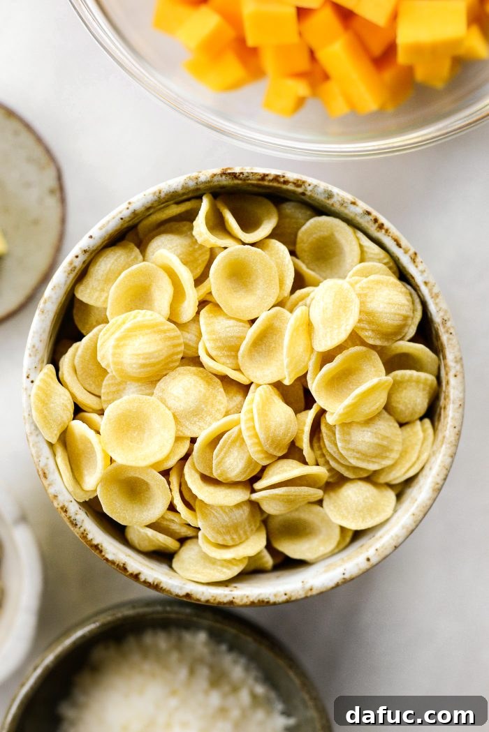 Autumn Orecchiette with Pancetta, Butternut Squash, and Broccoli 9 Uncooked orecchiette pasta in a bowl