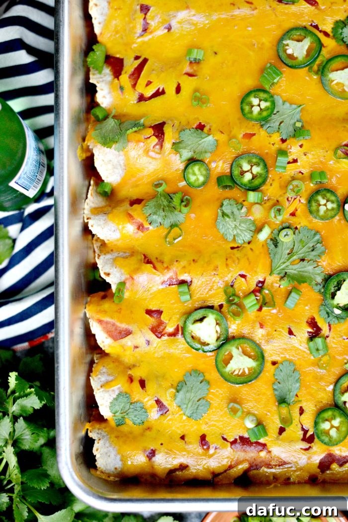Fiesta Chicken and Rice Enchiladas 2 Delicious Chicken and Rice Enchiladas ready to serve