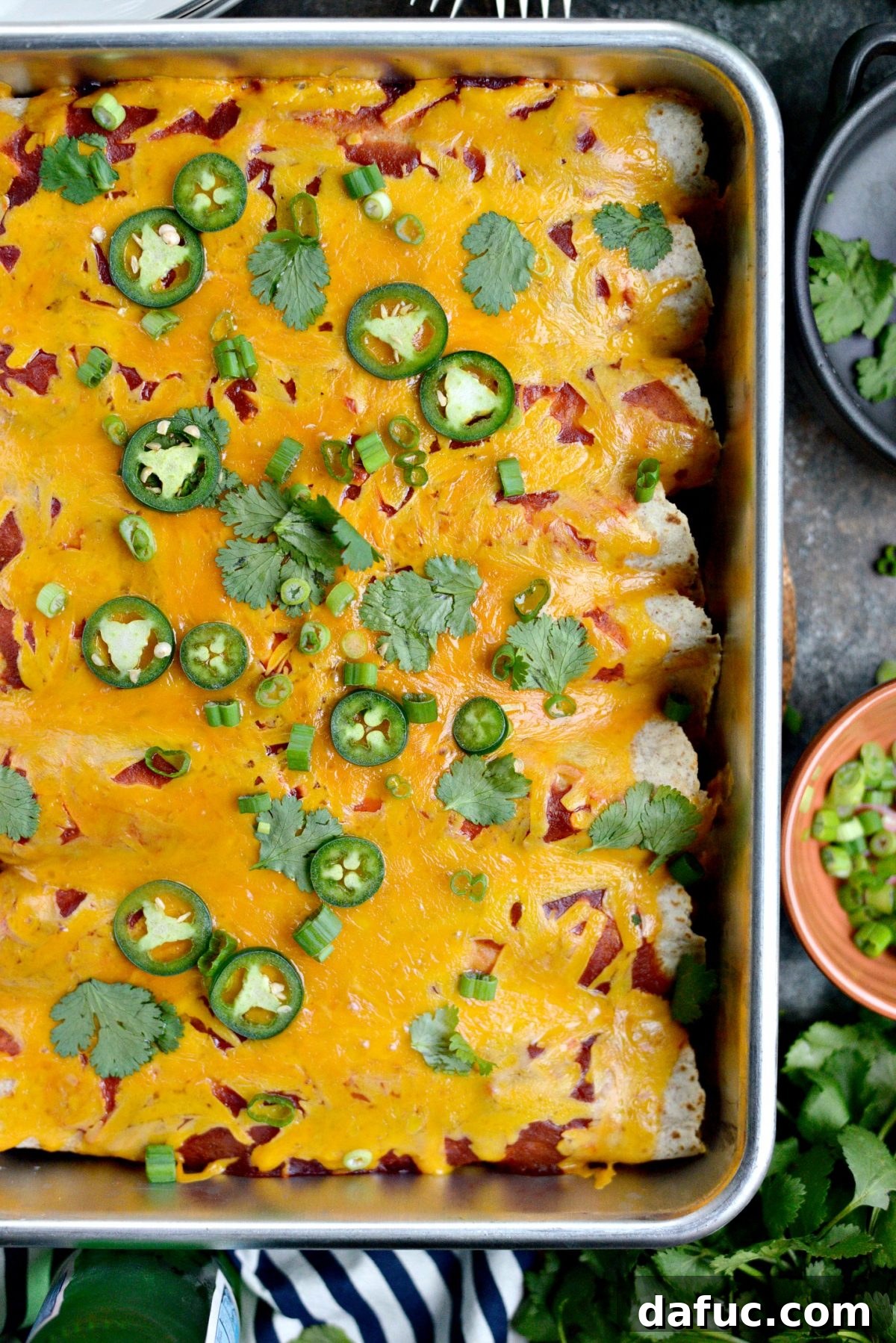 Fiesta Chicken and Rice Enchiladas 12 Another view of the delicious Chicken and Rice Enchiladas