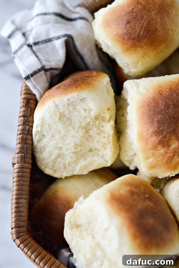 Irresistibly Easy Homemade Rolls 2 Easy Homemade Dinner Rolls presented in a basket