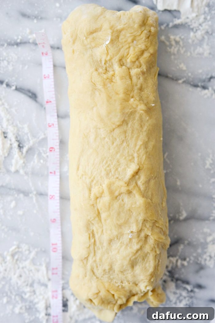 Irresistibly Easy Homemade Rolls 18 Dough shaped into a 12-inch log