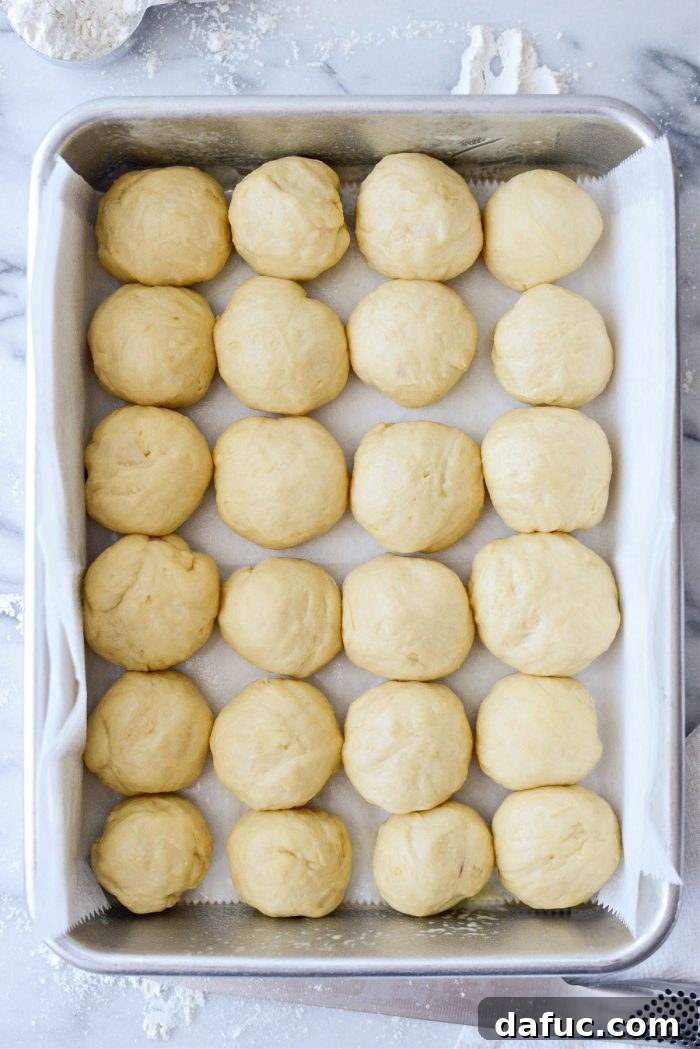 Irresistibly Easy Homemade Rolls 23 Shaped dough balls placed in the prepared baking pan