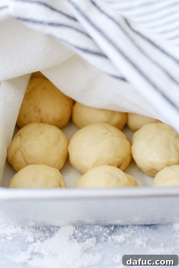 Irresistibly Easy Homemade Rolls 24 Dough balls covered with a kitchen towel for the second rise
