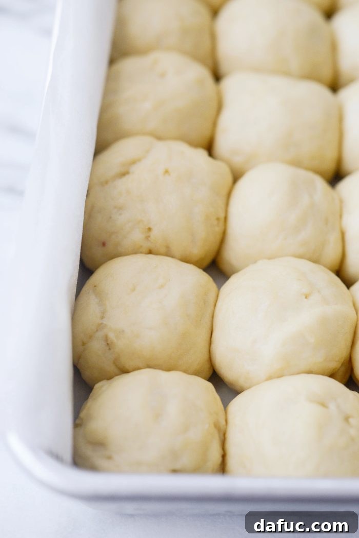 Irresistibly Easy Homemade Rolls 25 Dough rolls after the second rise, visibly expanded and touching