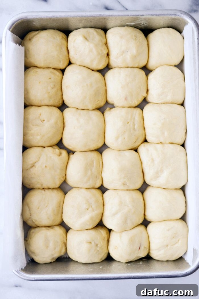 Irresistibly Easy Homemade Rolls 26 Freshly risen dough rolls ready for baking in the oven