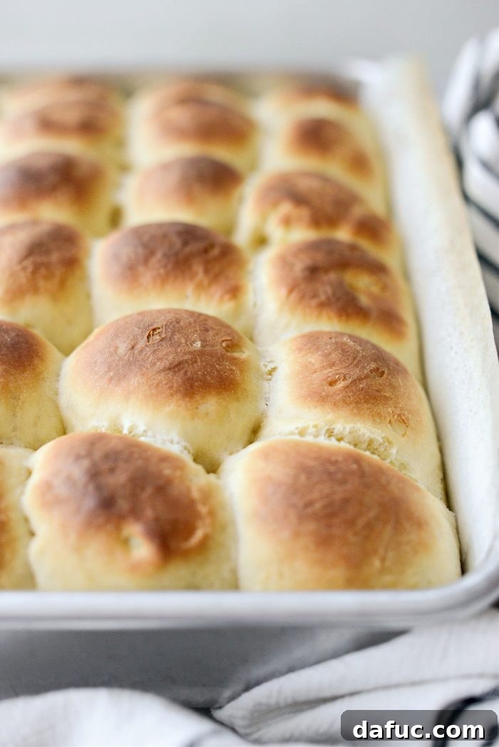 Irresistibly Easy Homemade Rolls 27 Freshly baked Easy Homemade Dinner Rolls just out of the oven