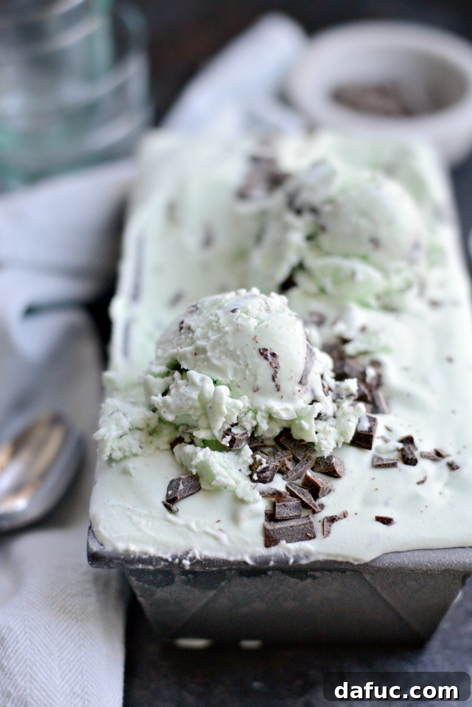 Scoop of Mint Chocolate Chip Ice Cream in a bowl