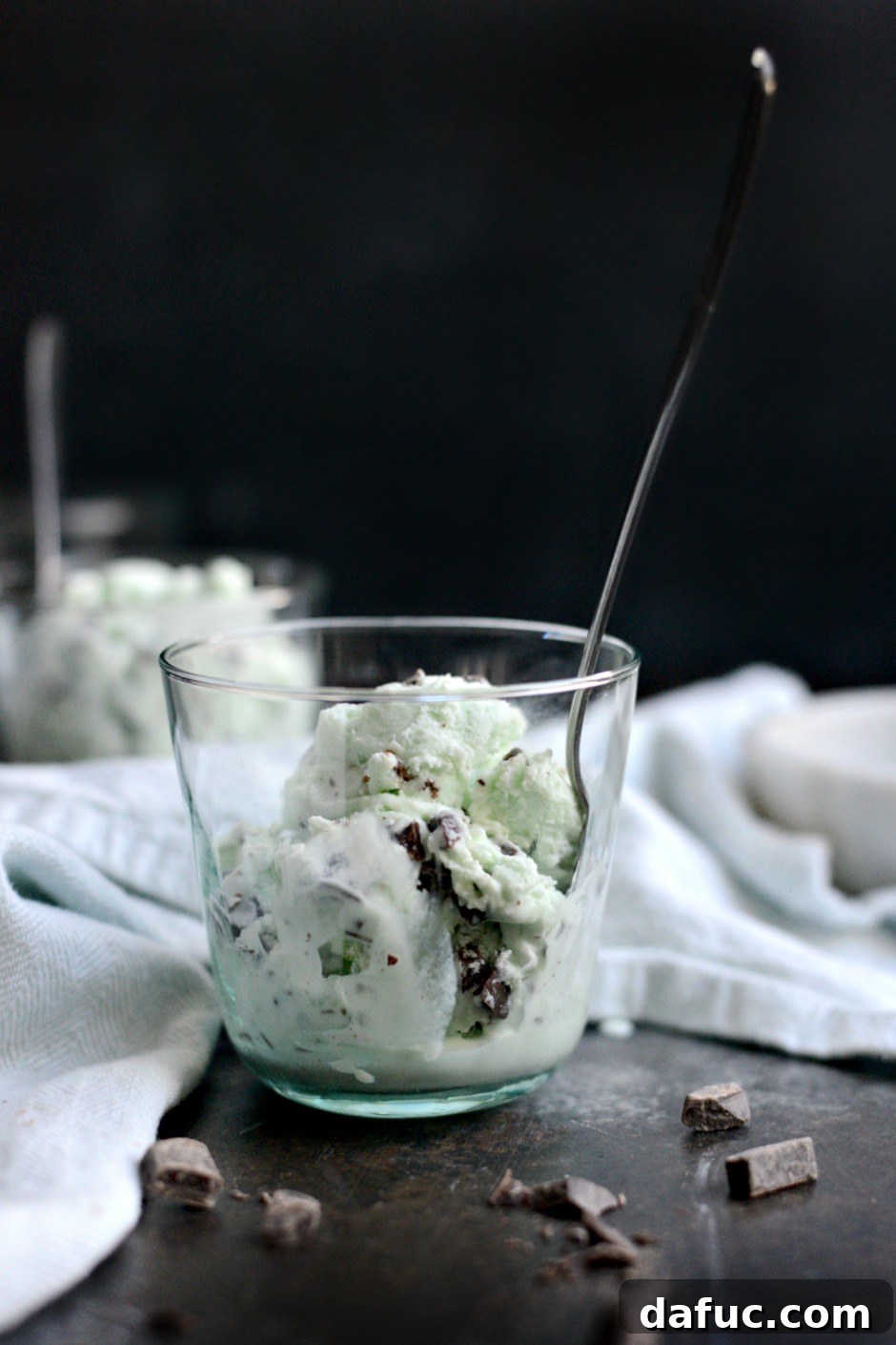 Overhead view of a bowl of Mint Chocolate Chip Ice Cream