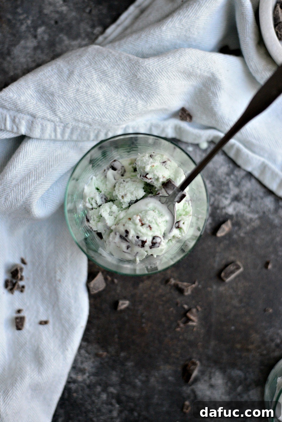 Top-down photo of a bowl with Mint Chocolate Chip Ice Cream