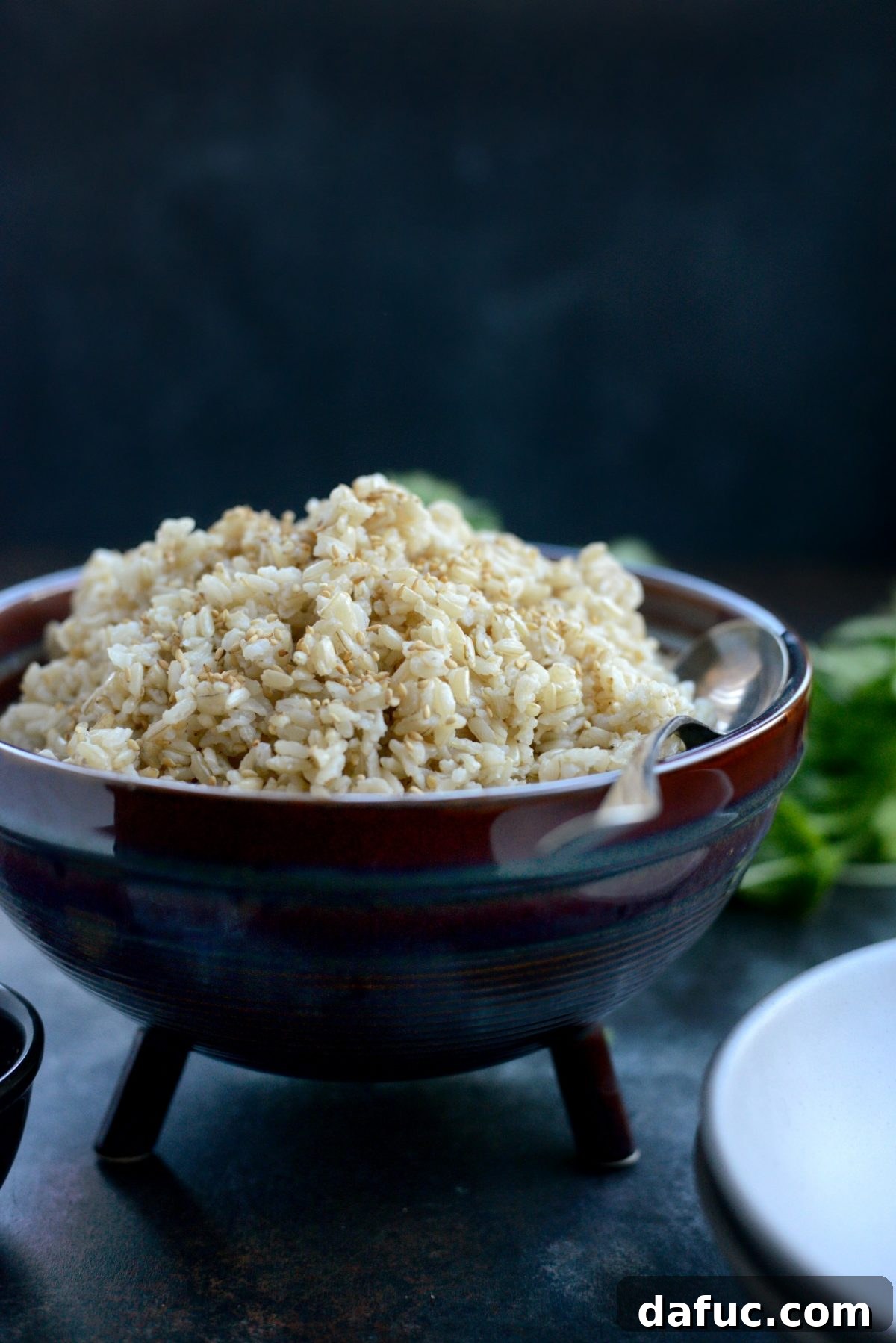 Toasted Sesame Ginger Brown Rice 3 Close-up of fluffy Ginger Sesame Brown Rice ready to be served