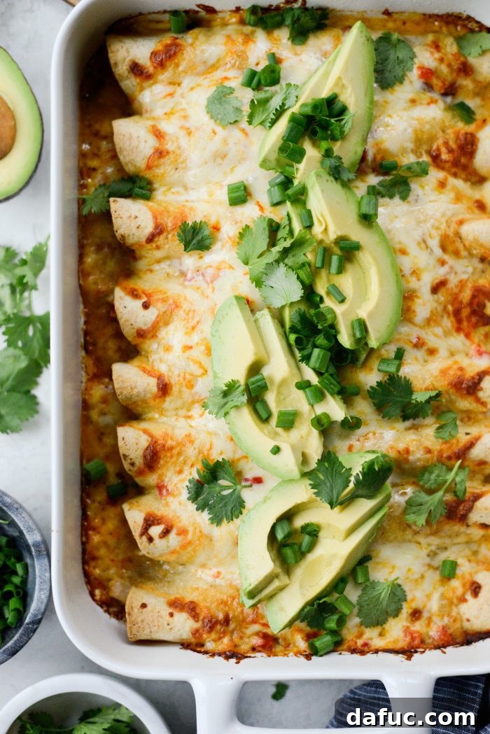Lighter Chicken Enchiladas with creamy chipotle sauce and melted Muenster cheese