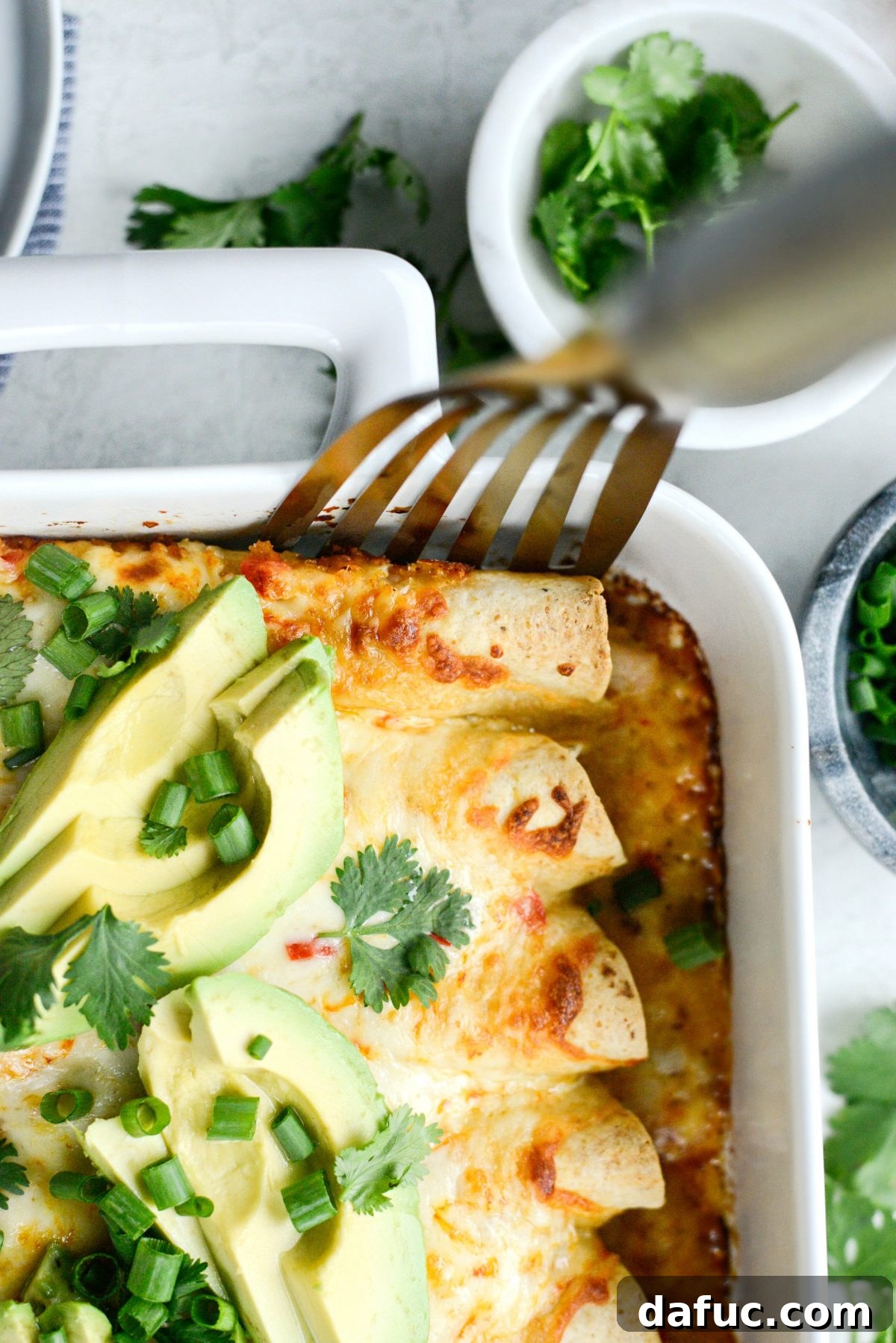A perfectly portioned plate of Lighter Chicken Enchiladas with fresh toppings