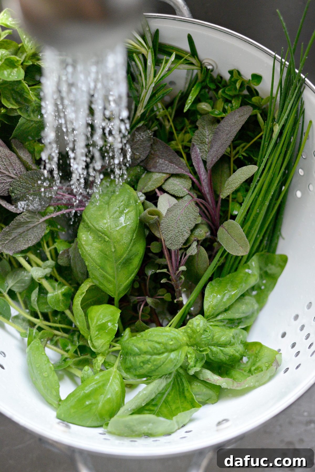 3 Ways to Freeze Herbs with Pampered Chef l SimplyScratch.com (2)