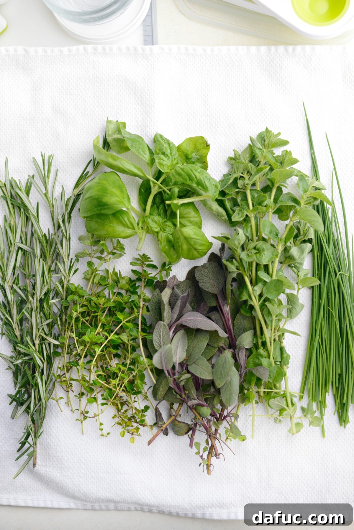 3 Ways to Freeze Herbs with Pampered Chef l SimplyScratch.com (3)