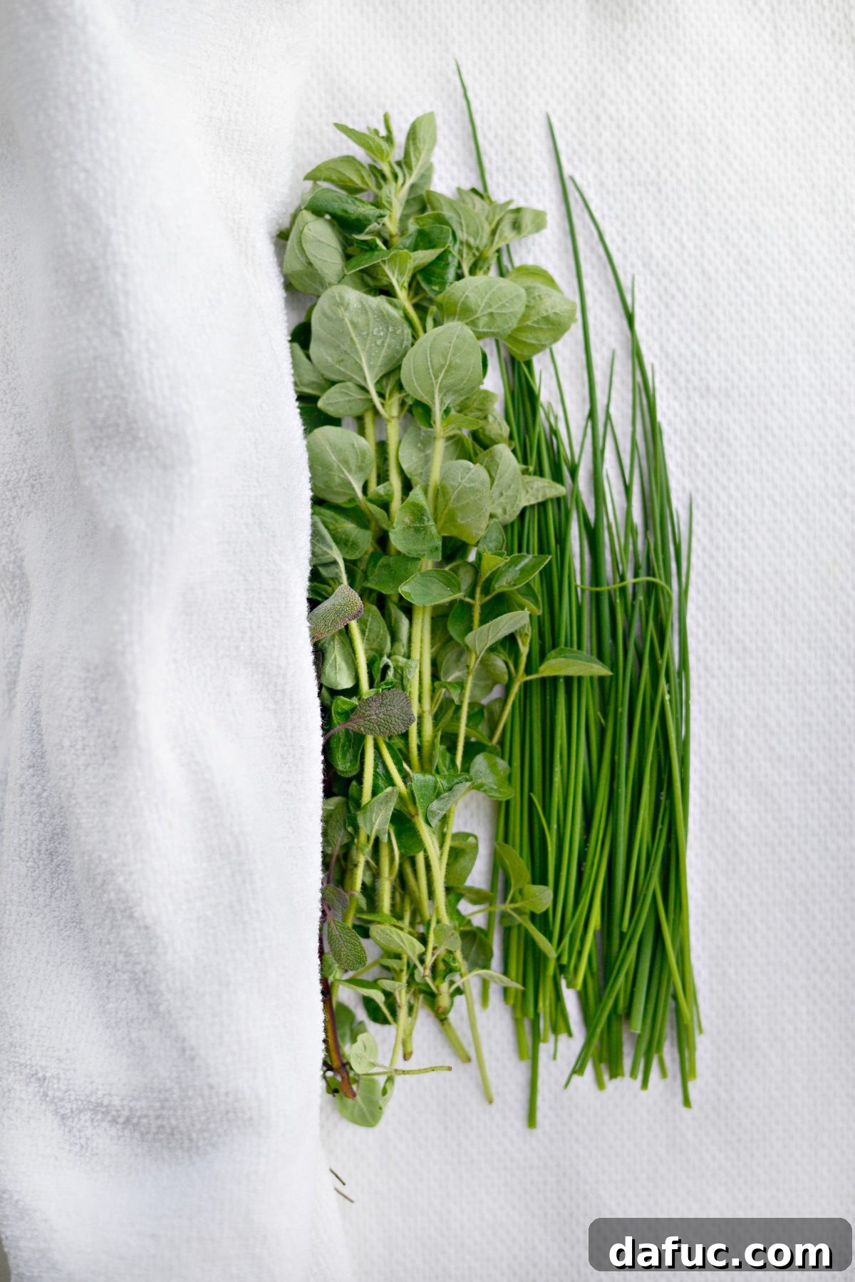 3 Ways to Freeze Herbs with Pampered Chef l SimplyScratch.com (4)