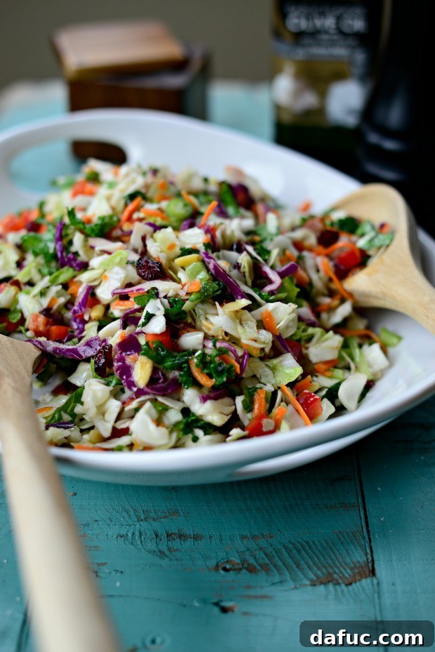 Rainbow Crunch Salad, a colorful and easy-to-make vegetable slaw.