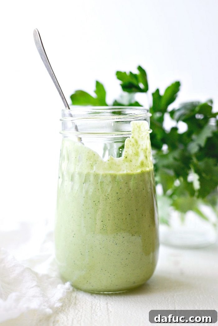 Homemade Salad Dressings and Vinaigrettes Over 50 Easy Recipes 18 img 43950 21