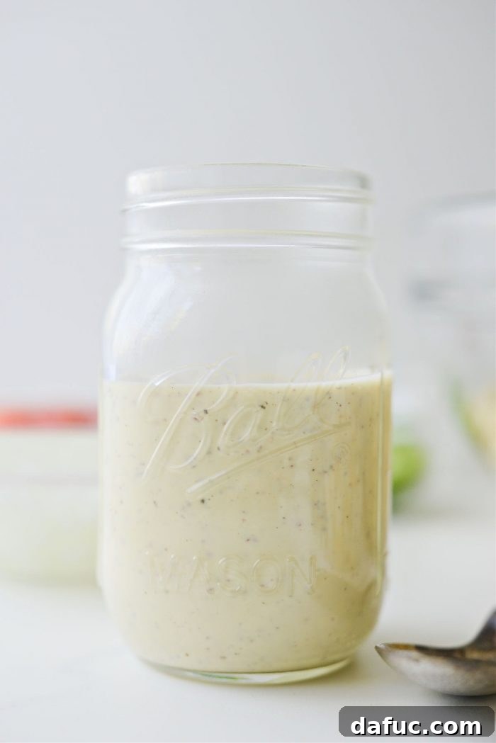 Homemade Salad Dressings and Vinaigrettes Over 50 Easy Recipes 21 Homemade Classic Macaroni Salad Dressing