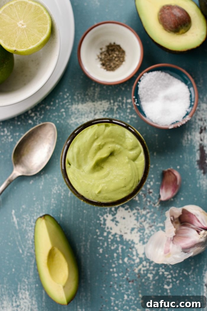 Homemade Salad Dressings and Vinaigrettes Over 50 Easy Recipes 5 Creamy Avocado Dressing