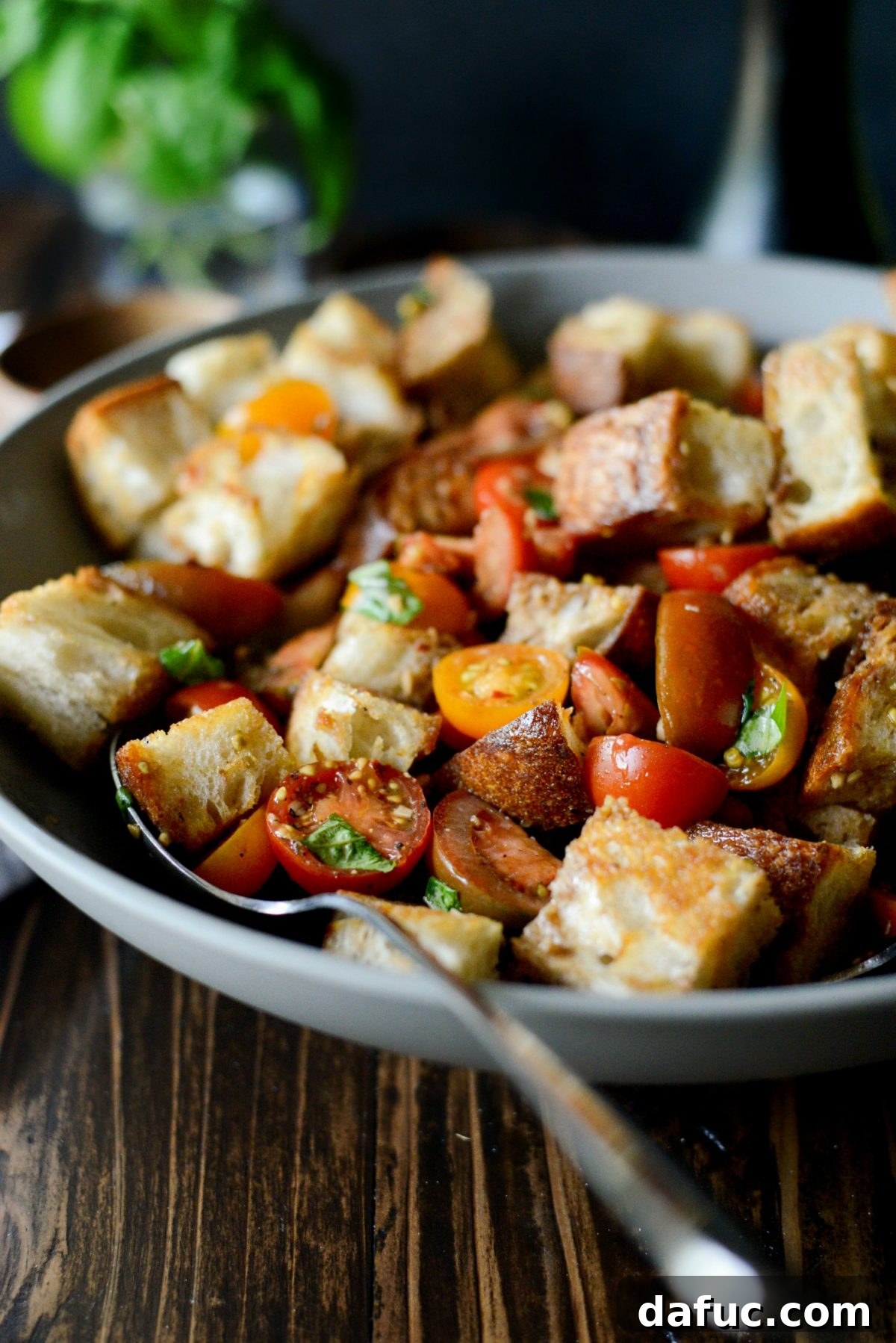 Close-up of freshly made Tomato Bruschetta Panzanella in a bowl, ready to be served