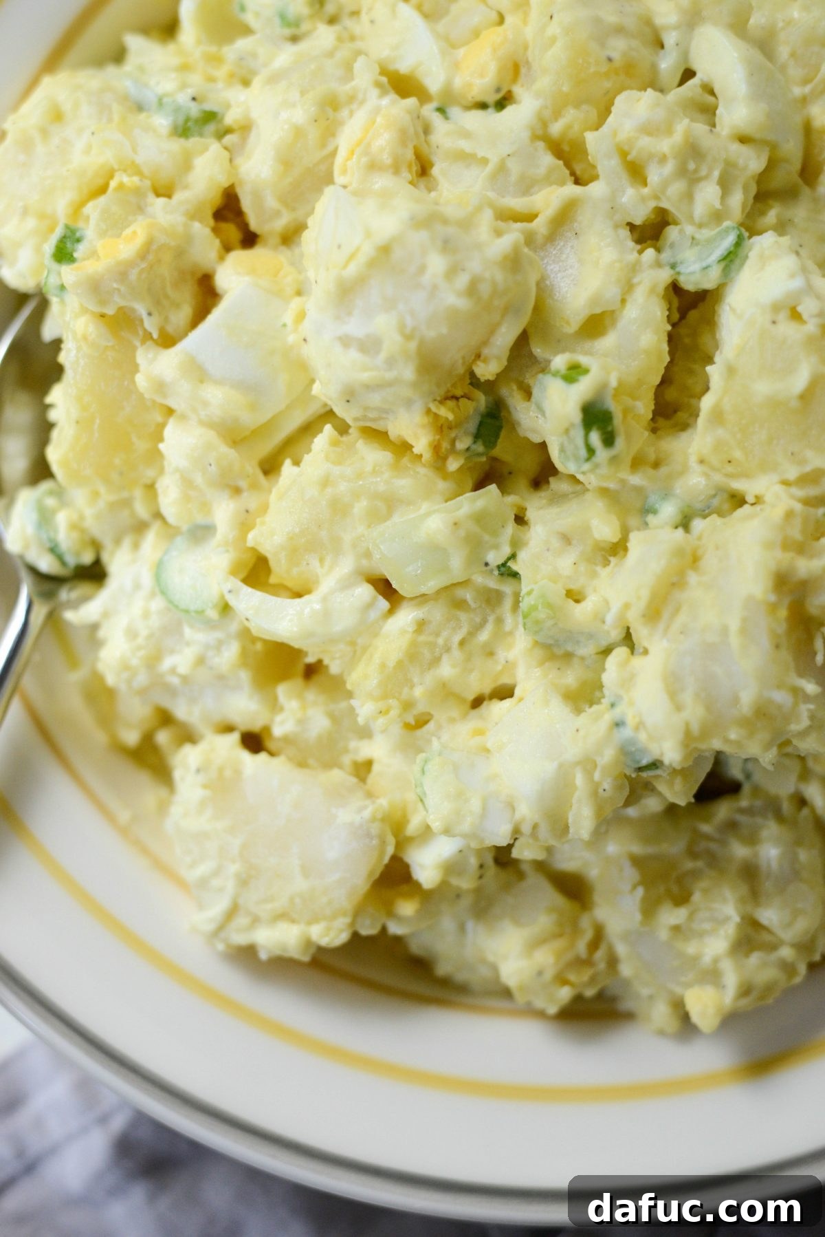 Aunt Penny's Classic Potato Salad Recipe, a final overhead shot of the delicious dish.