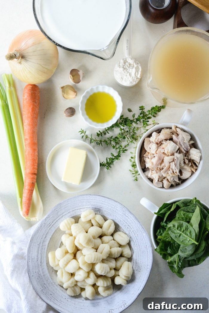 Various fresh ingredients for homemade chicken gnocchi soup