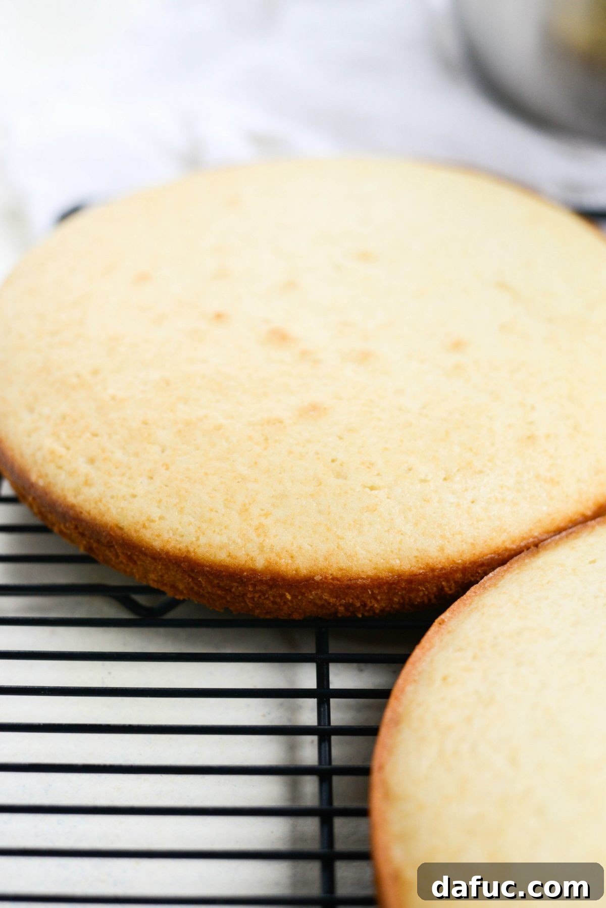 Freshly baked white cake