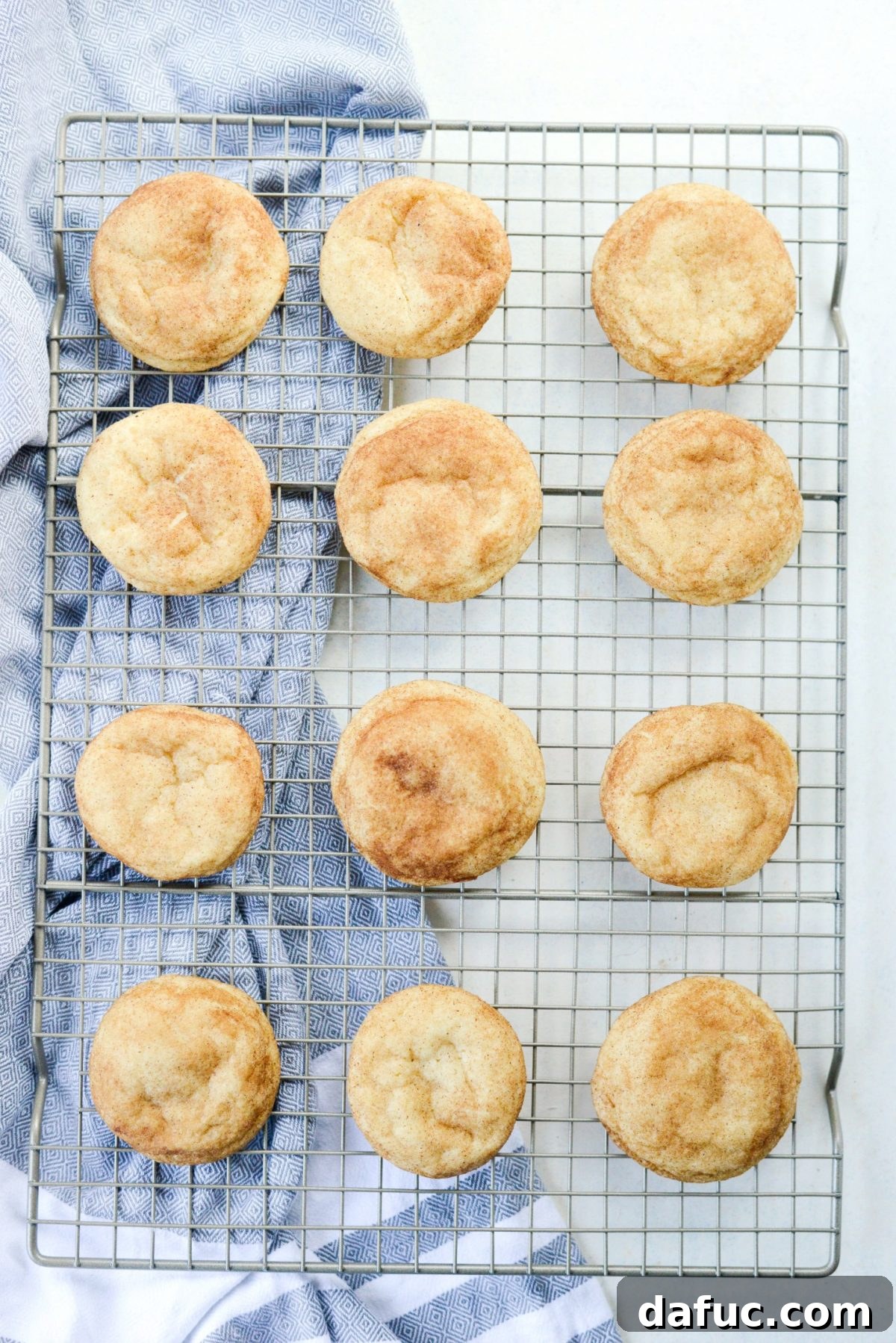 Golden Cinnamon Sugar Delights 14 Freshly baked Classic Snickerdoodles cooling on a wire rack.