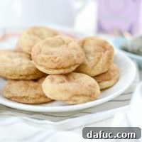 Classic Snickerdoodles