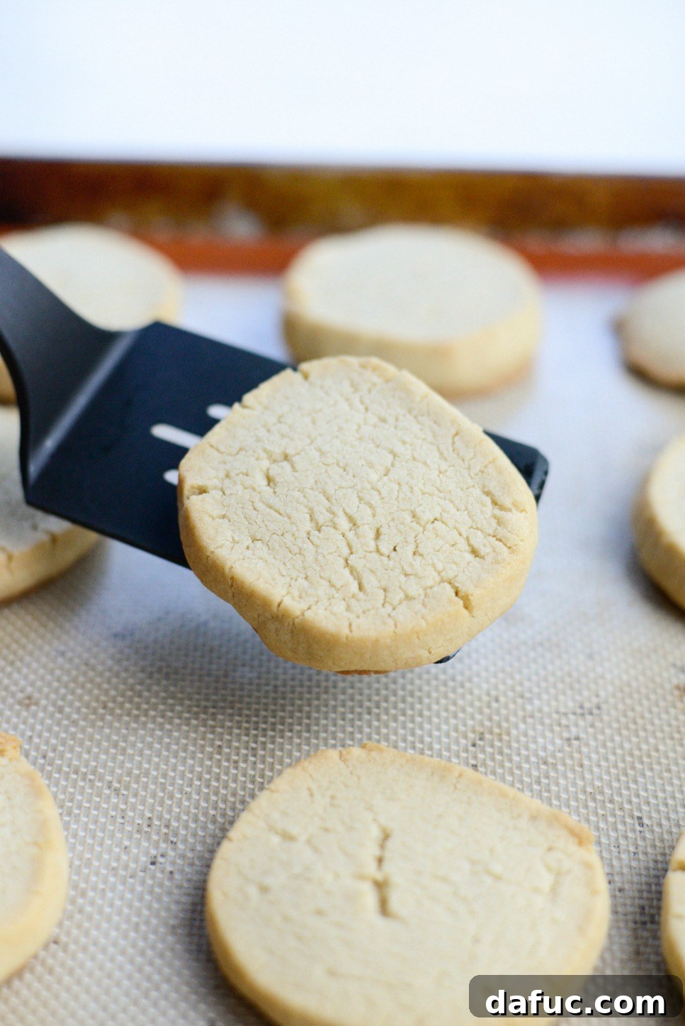 Just baked Tahini Shortbread Cookies, cooling on the baking sheet - A fresh batch of golden brown Tahini Shortbread Cookies, perfectly baked and still on the baking sheet, resting to firm up before being transferred to a cooling rack.