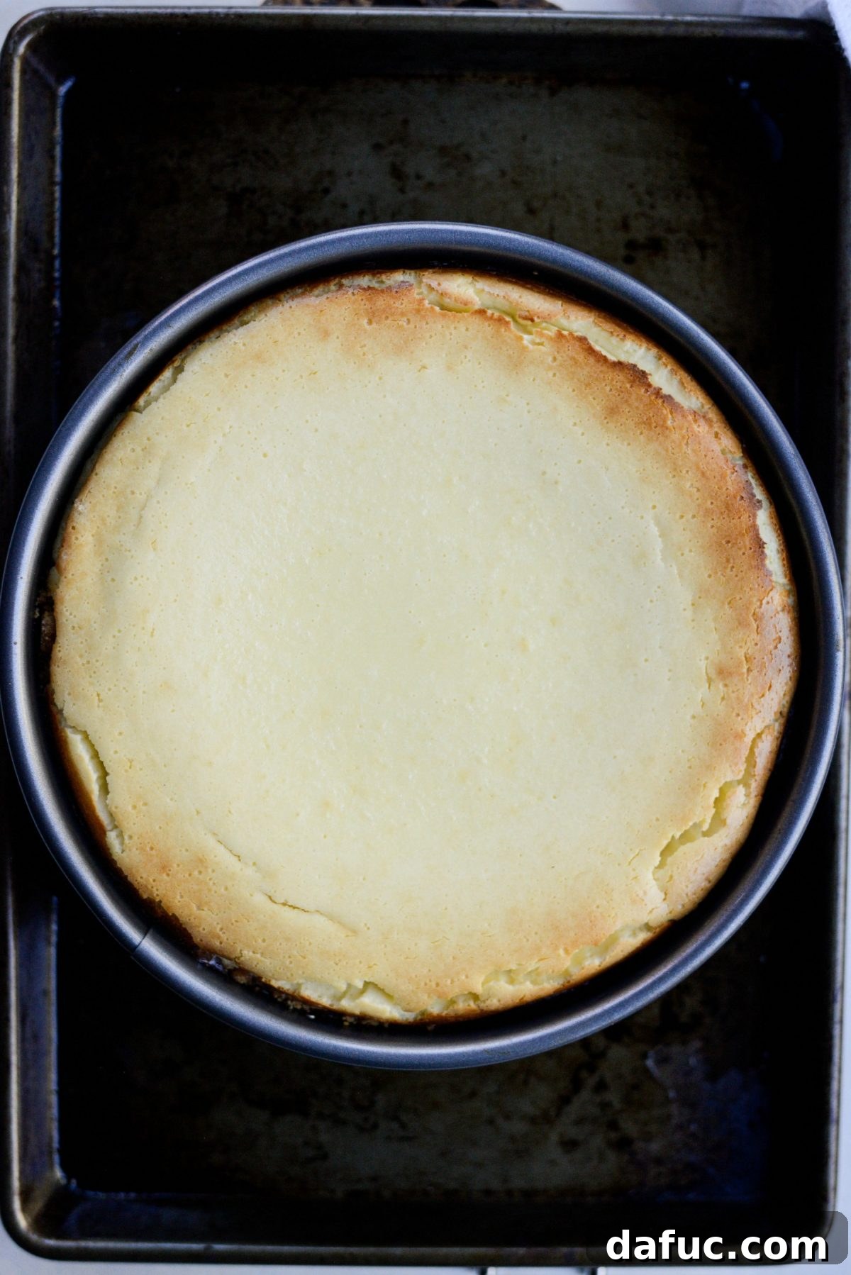Tangy Goat Cheese Cheesecake with Tahini-Kissed Shortbread Base 16 Beautifully baked Goat Cheese Cheesecake with a light golden top and slightly rustic edges