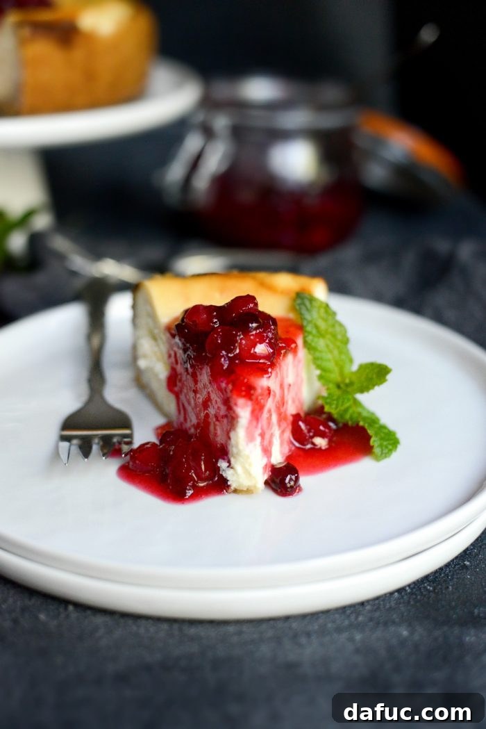 Tangy Goat Cheese Cheesecake with Tahini-Kissed Shortbread Base 3 Close-up of a slice of Goat Cheese Cheesecake revealing the creamy texture, tahini shortbread crust, and cranberry topping