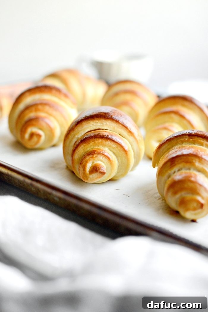 Effortless Homemade Croissant Perfection 3 Easy Homemade Croissants - A closer look at the flaky layers