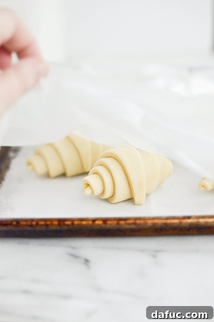 Effortless Homemade Croissant Perfection 25 Lightly covering rolled croissant dough for rising