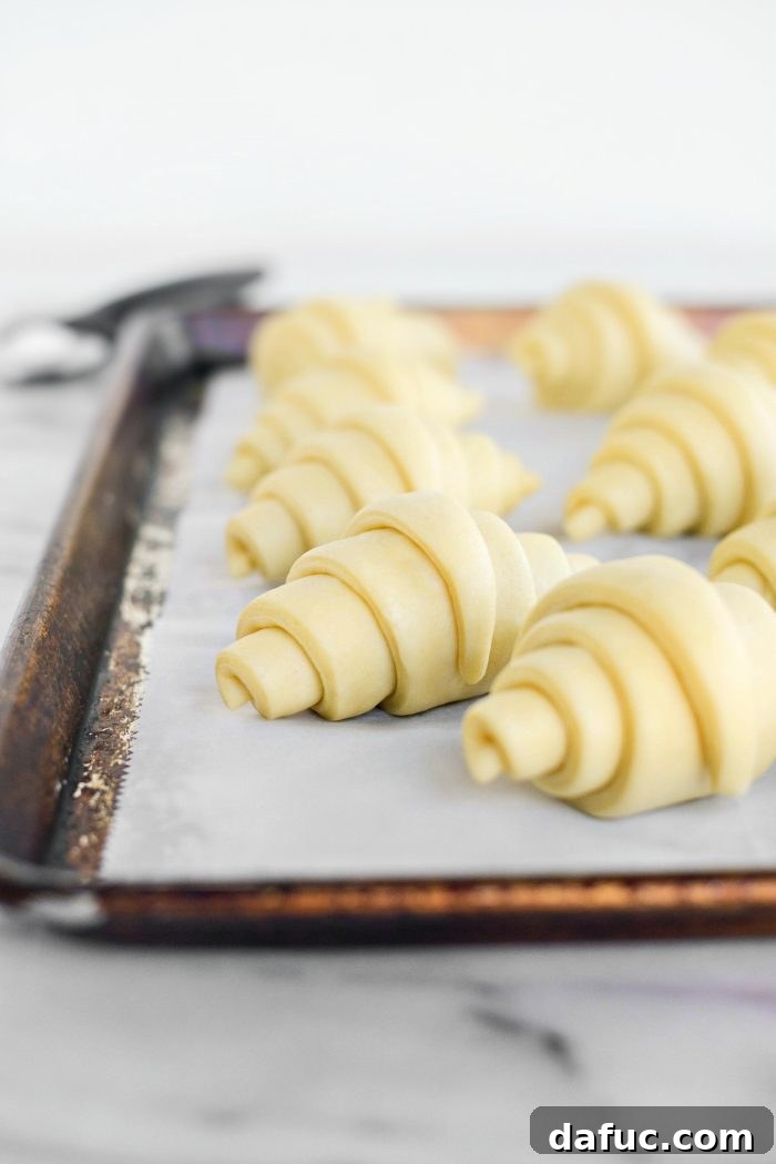 Effortless Homemade Croissant Perfection 26 Risen, puffed-up croissant dough after proofing