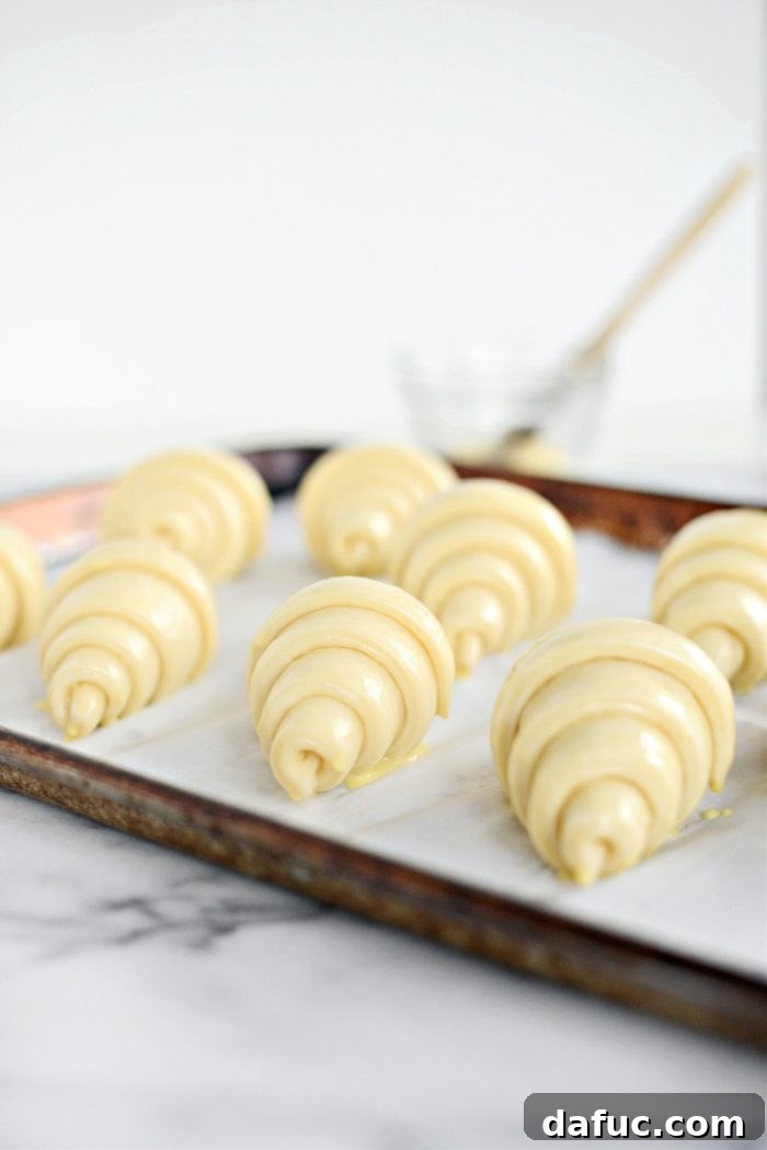 Effortless Homemade Croissant Perfection 28 Croissants baking in the oven until golden