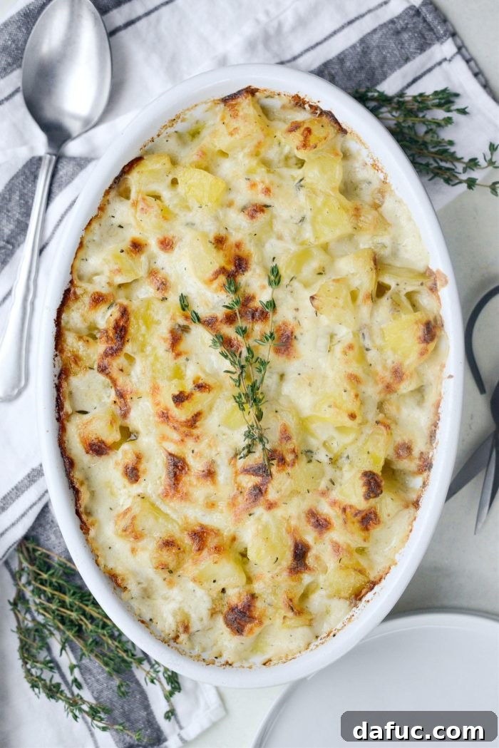 Gruyere Potato Gratin 2 Golden brown Cheesy Gruyere Potatoes, a perfect holiday side dish.