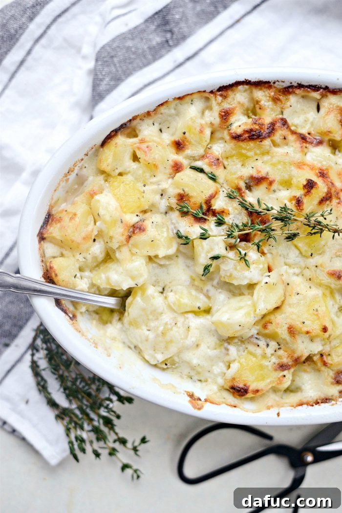 Gruyere Potato Gratin 20 A large serving of Cheesy Gruyere Potatoes on a plate.