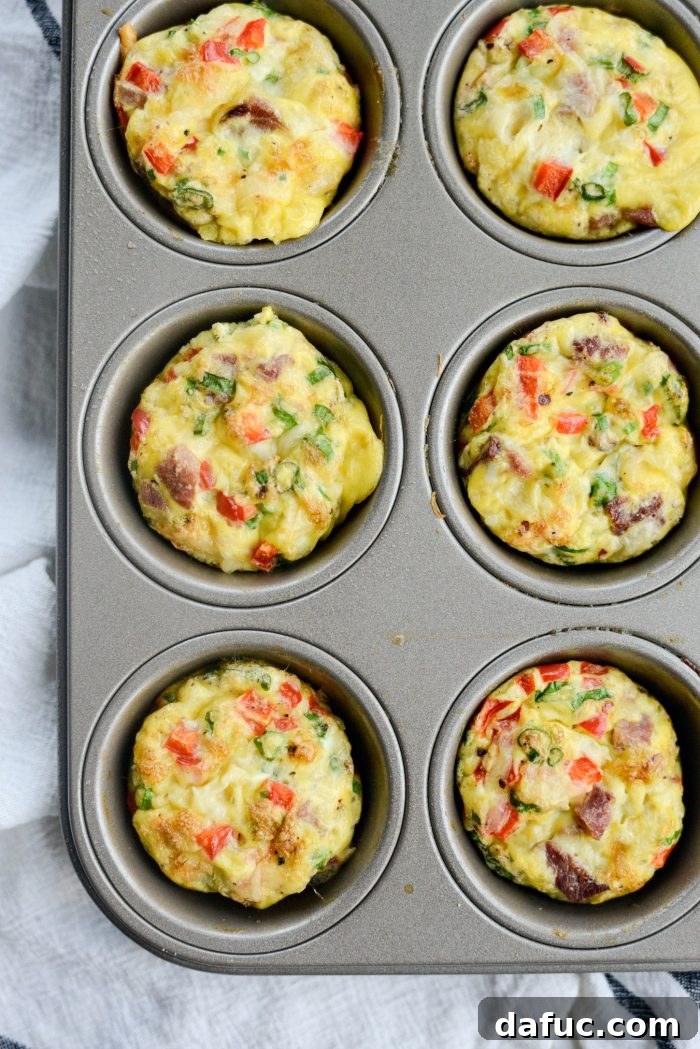 Mini Western Omelet Frittatas served on a plate