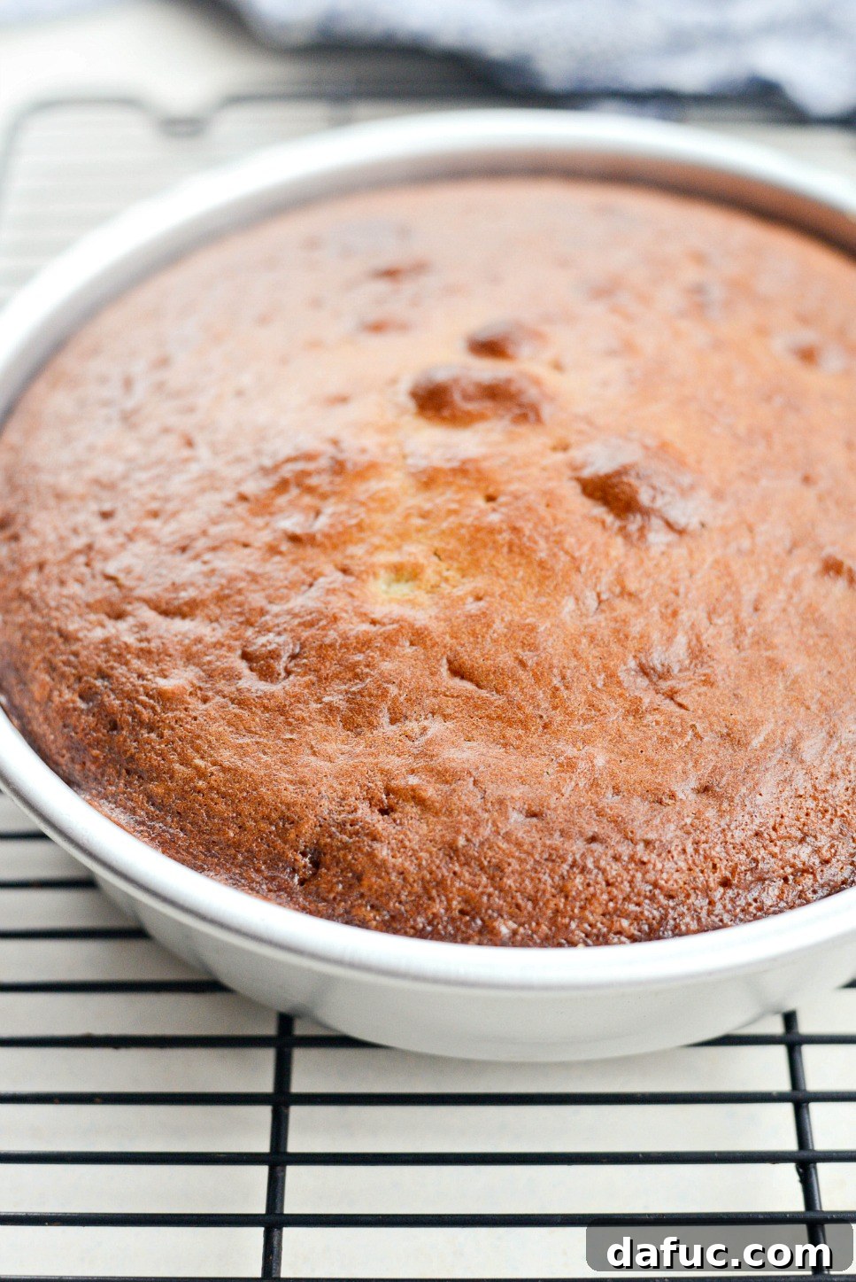 Golden Clementine Bliss Cake 15 Freshly baked Clementine Upside-Down Cake, golden and fragrant